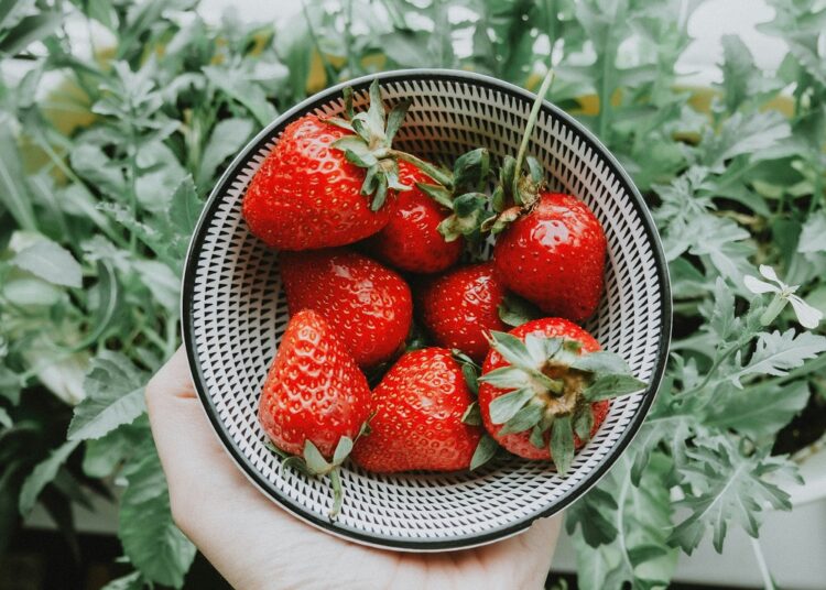 Elevate Your Dessert Game with Bake Ninja’s Tempting Chocolate Covered Strawberries