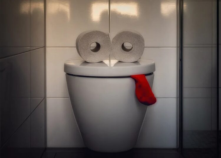 From Ordinary to Extraordinary Discover the Trendy Appeal of Skull-Shaped Toilet Bowls