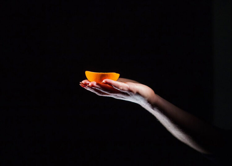 a-palm-like-no-other-iantha-naickers-mesmerizing-3d-artwork-comes-to-life