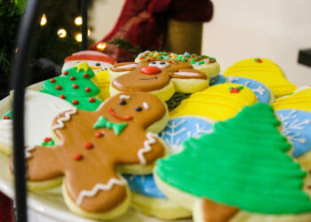 cookie-cutter-magic-how-mike-from-tampa-transforms-semisweet-cookies-into-works-of-art