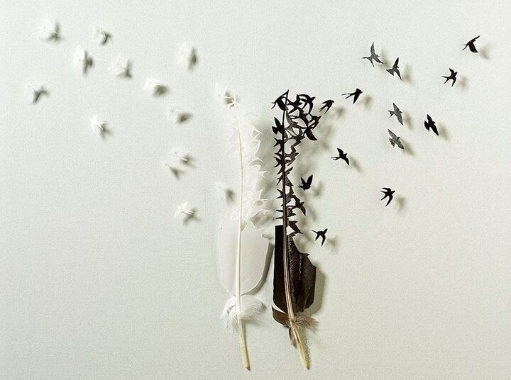 feathered-masterpieces-unveiling-chris-maynards-extraordinary-artistry-in-carving-real-feathers