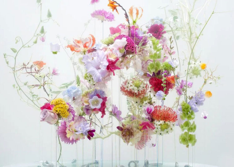 unveiling-the-enchanting-world-of-anne-ten-donkelaar-how-this-dutch-artist-transforms-nature-into-captivating-indoor-masterpieces