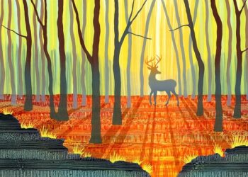 unveiling-the-artistry-exploring-rebecca-vincents-exceptional-printmaking-techniques-for-captivating-landscapes