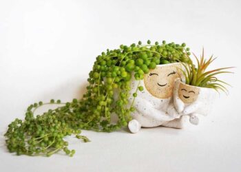 discover-the-adorable-smiling-planters-by-abby-ozaltug-to-brighten-your-day