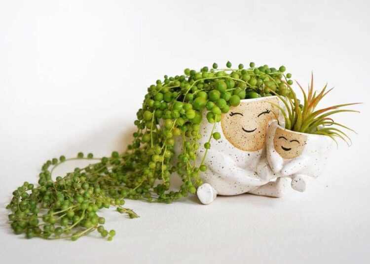 discover-the-adorable-smiling-planters-by-abby-ozaltug-to-brighten-your-day