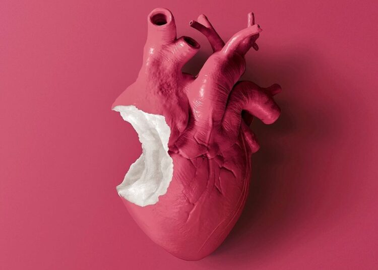 discover-the-enchanting-world-of-jose-navarros-surreal-animal-object-hybrids